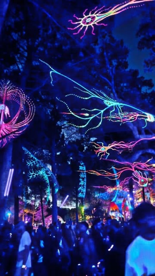 Instalação de luzes num festival onde o Om Rastas trabalhou